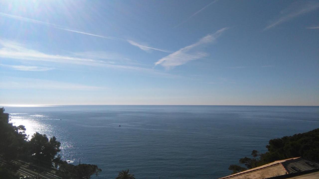Mare E Vista Portofino - Sea And Portofino View 佐阿利 外观 照片