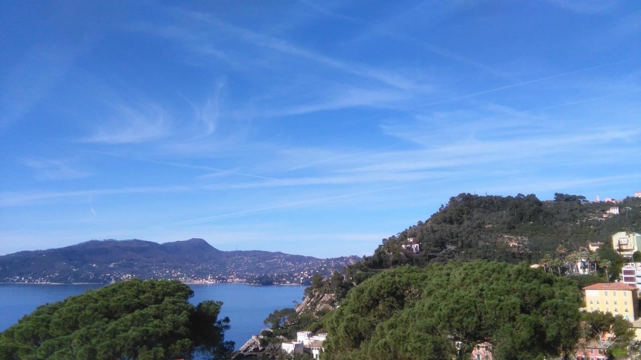 Mare E Vista Portofino - Sea And Portofino View 佐阿利 外观 照片