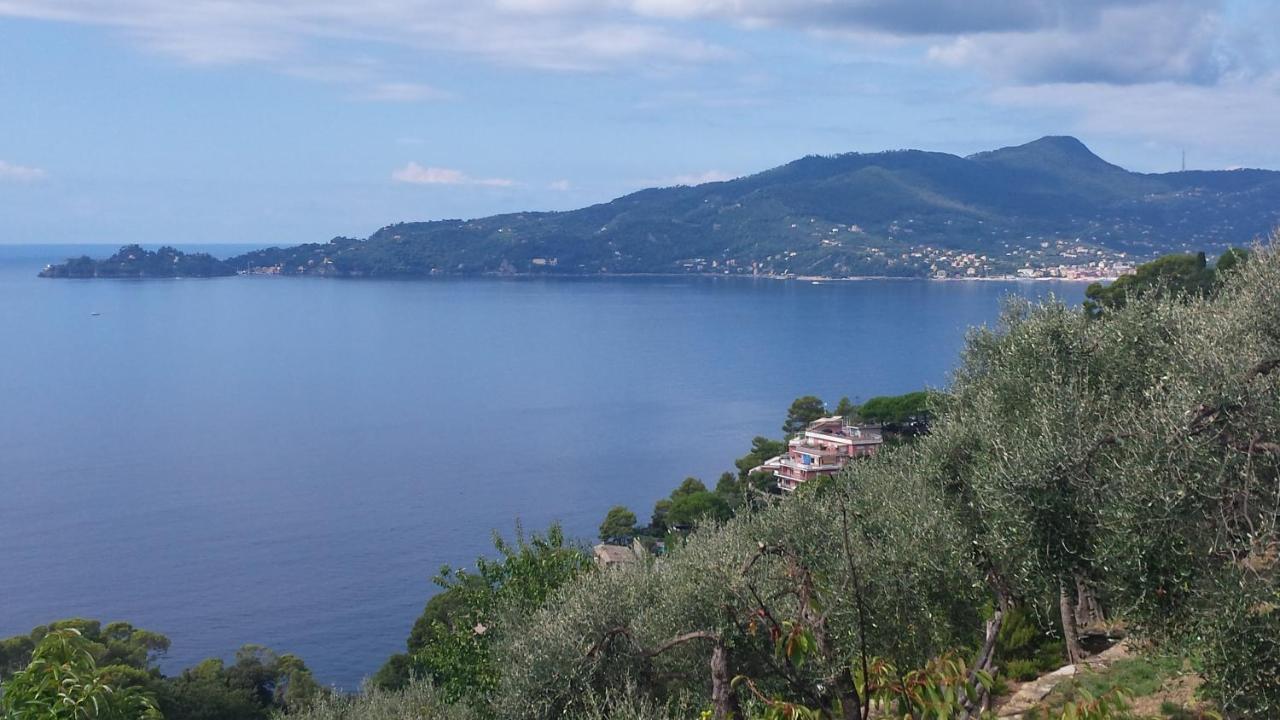 Mare E Vista Portofino - Sea And Portofino View 佐阿利 外观 照片