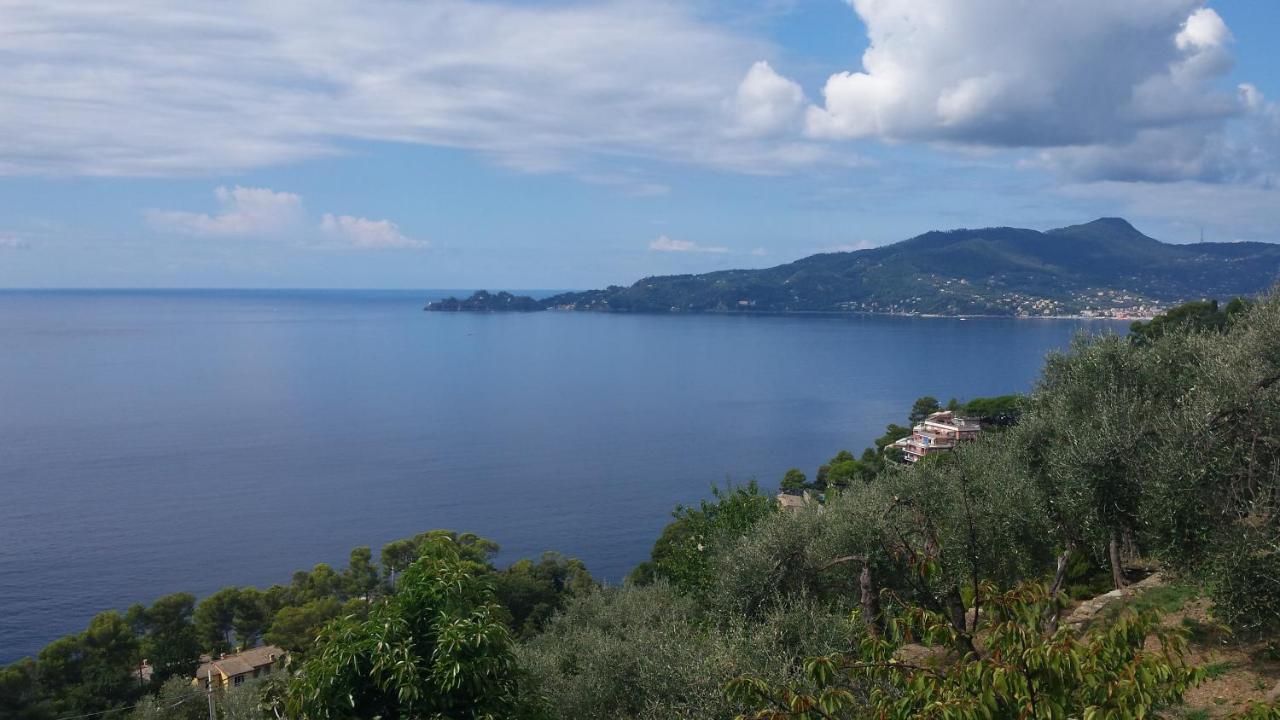 Mare E Vista Portofino - Sea And Portofino View 佐阿利 外观 照片
