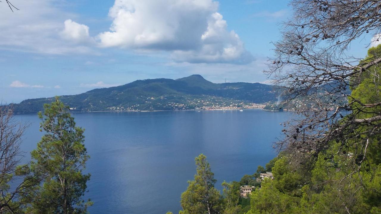 Mare E Vista Portofino - Sea And Portofino View 佐阿利 外观 照片