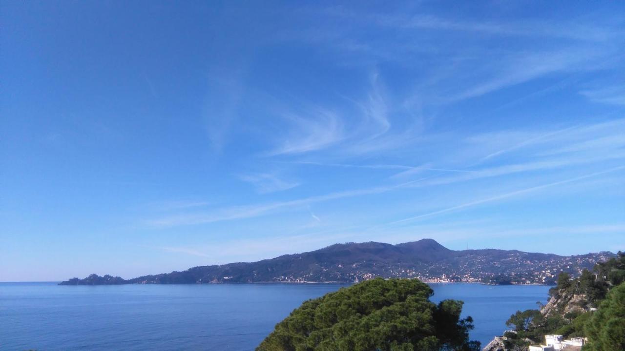 Mare E Vista Portofino - Sea And Portofino View 佐阿利 外观 照片