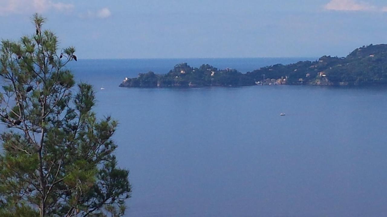 Mare E Vista Portofino - Sea And Portofino View 佐阿利 外观 照片